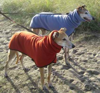 Greyt Gear - Greyhound coats and fleeces